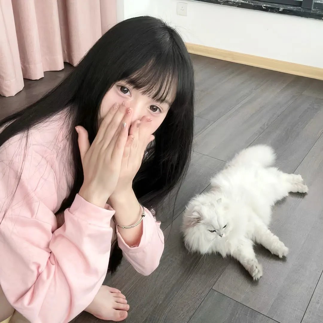 战国妖狐救世姐弟篇